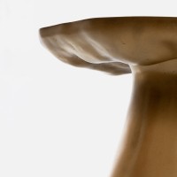 <a href="https://www.galeriegosserez.com/artistes/donnersberg-emma.html">Emma Donnersberg</a> - Mushrooms - Bronze Full Gold